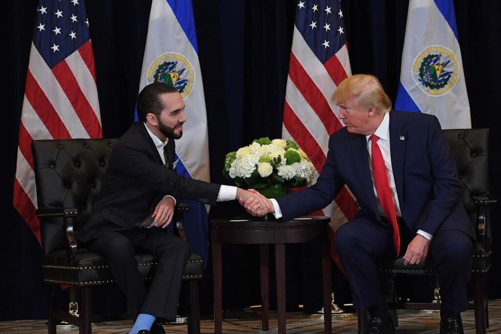 Nayib Bukele Career
