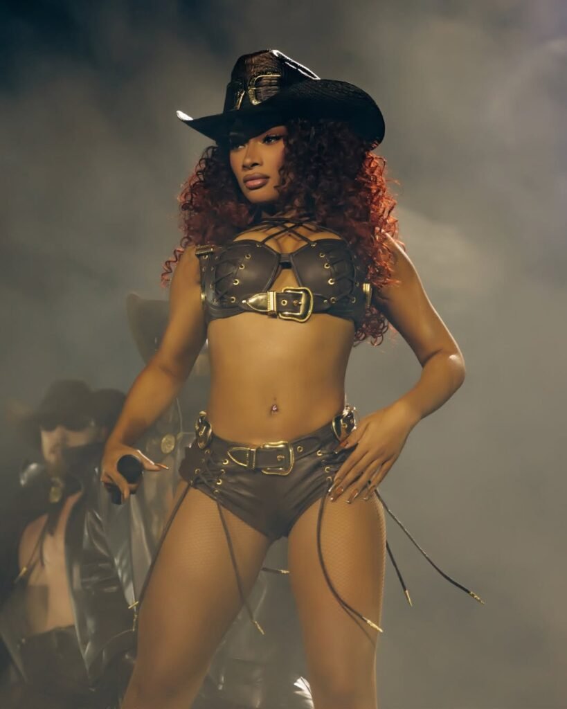 Megan Thee Stallion Awards