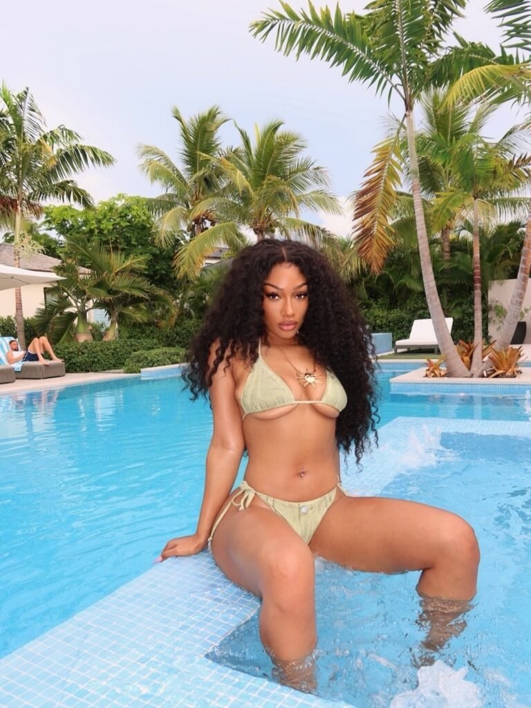 Megan Thee Stallion's Educational Background